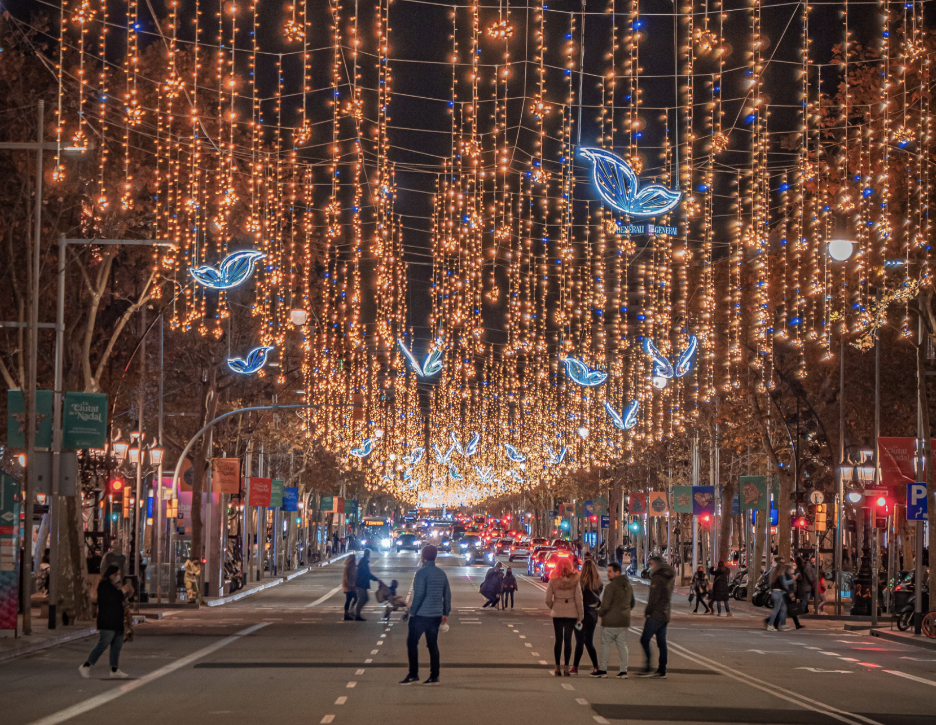 fotografía en otono